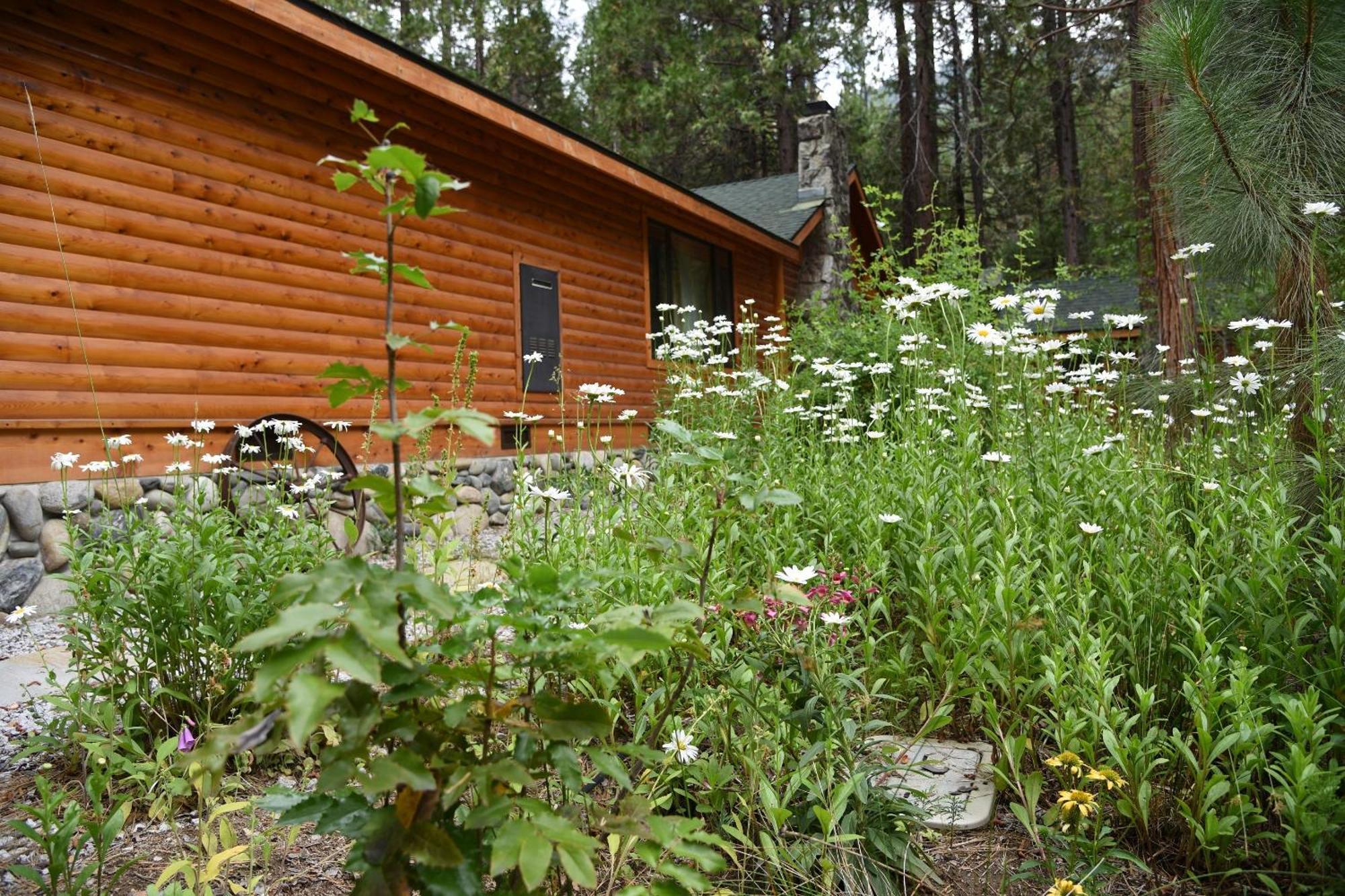 Grizzly Giant Vila Wawona Exterior foto